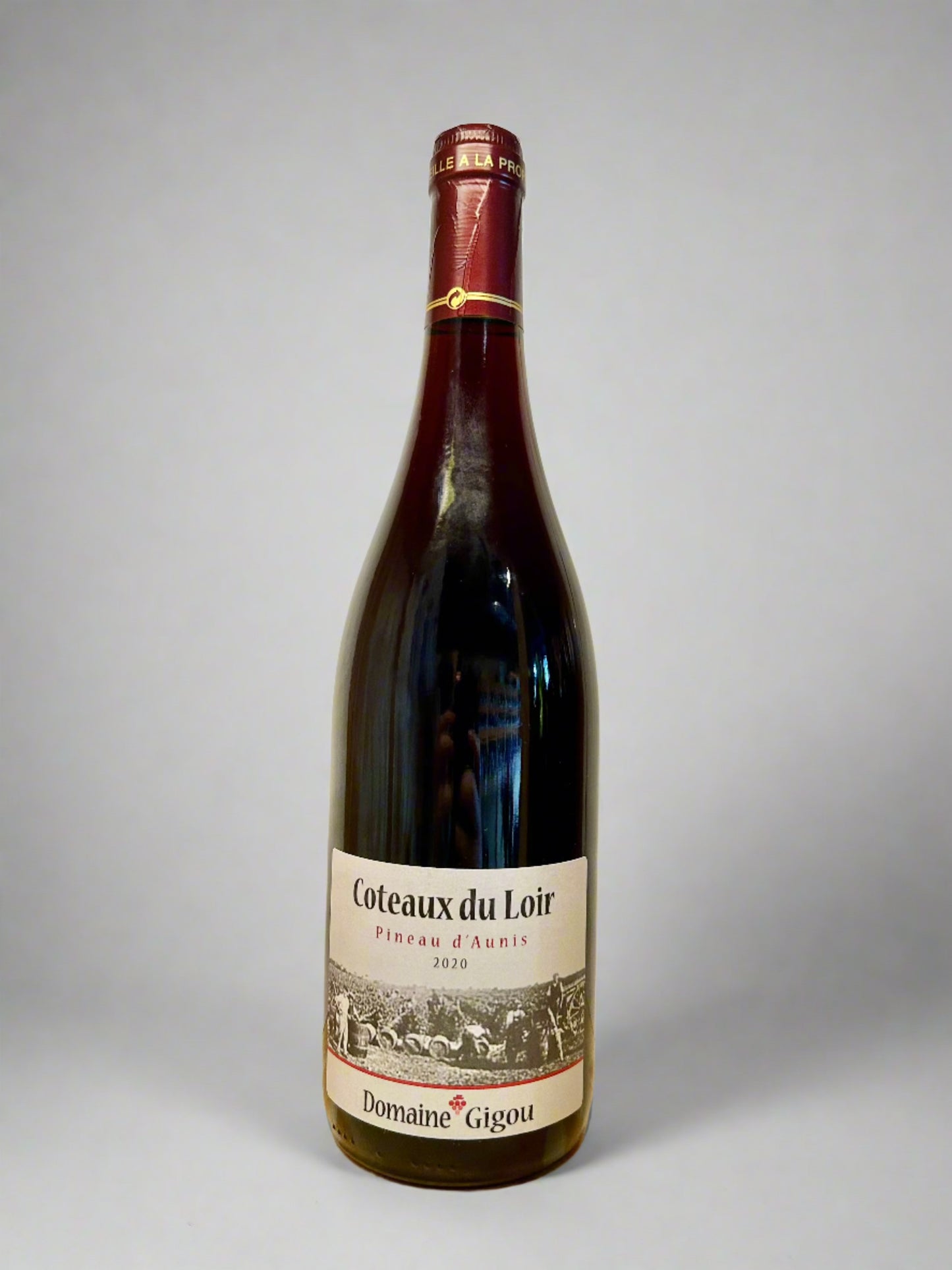 Domaine Gigou 2020 Coteaux du Loir Pineau d'Aunis