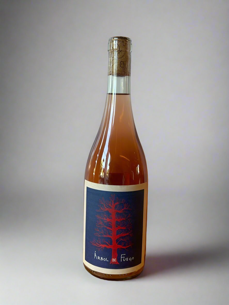 Vinos Pijoan 2024 Árbol de Fuego