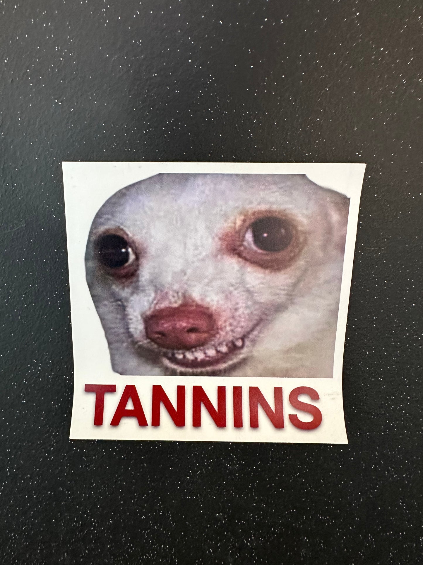 Tannins Dog Magnet