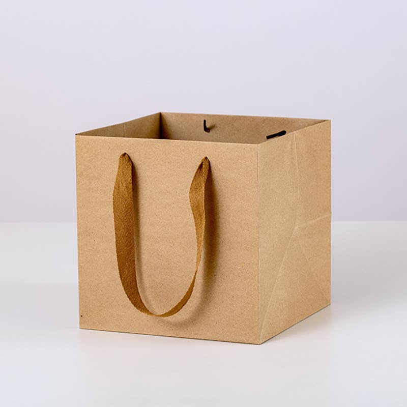 Square Kraft Brown Cotton Handle Paper Gift Bag w/ tissue