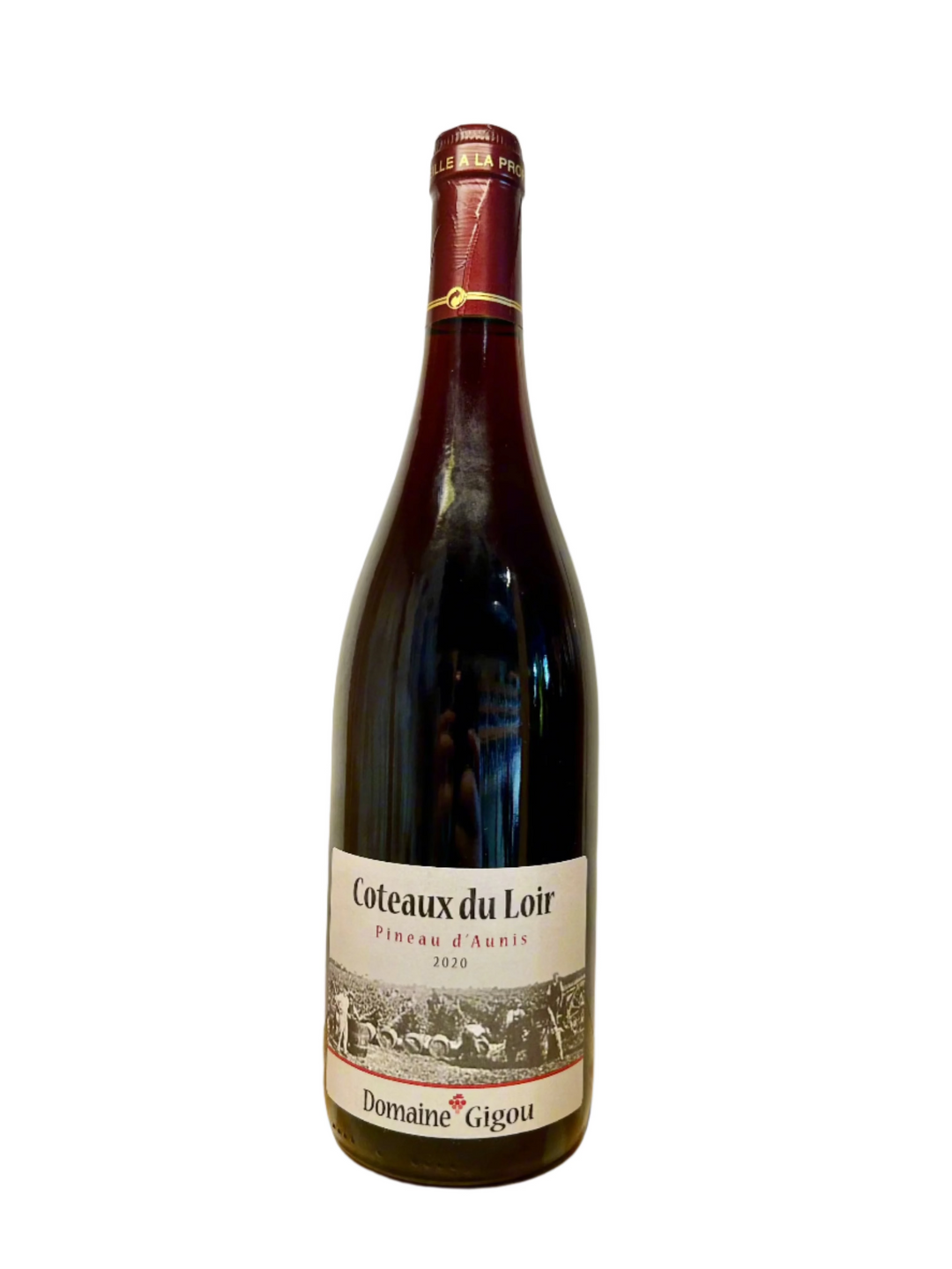 Domaine Gigou 2022 Coteaux du Loir Pineau d'Aunis
