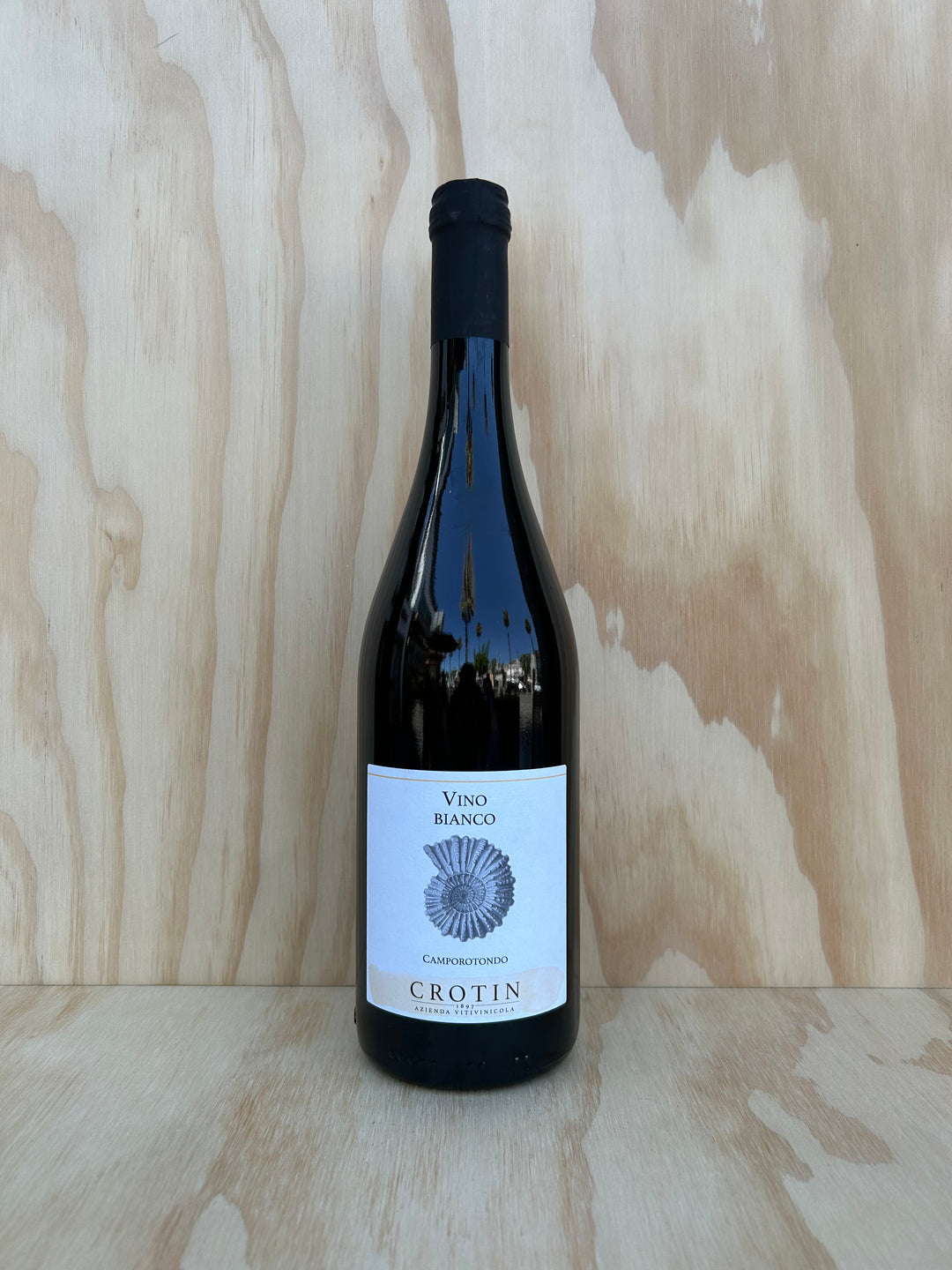 Crotin 2023 "Camporotondo" Vino Bianco