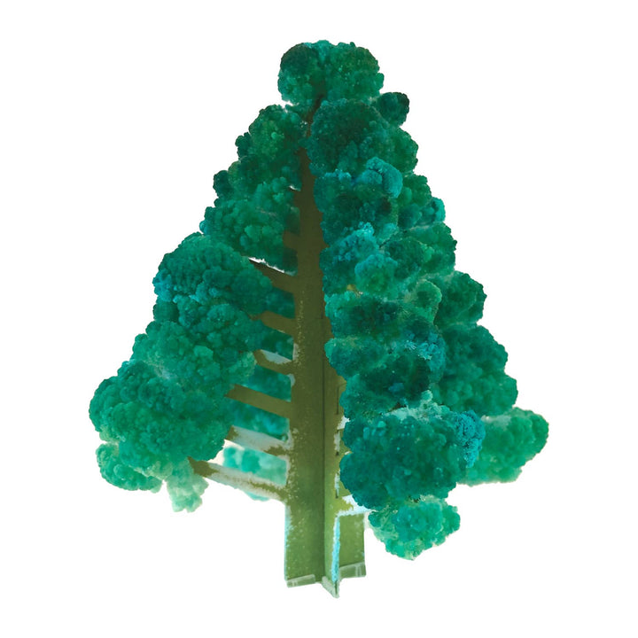 Crystal Growing Balsam Fir |
Craft kit Science kit Christmas