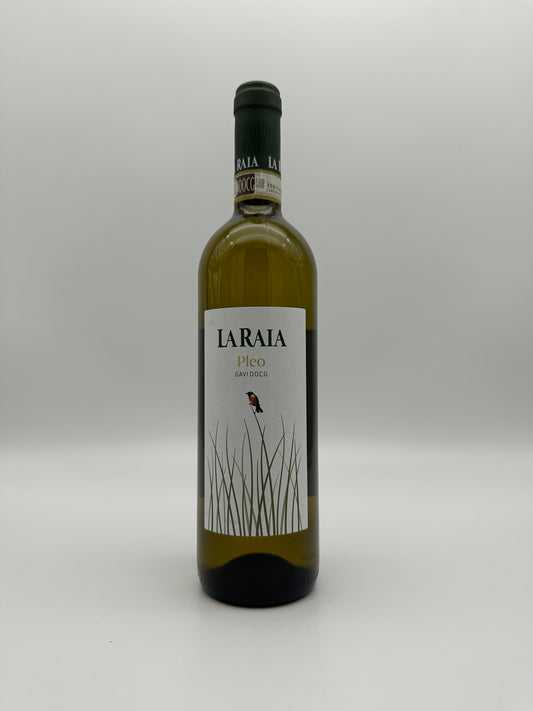 La Raia 2023 'Pleo' Gavi