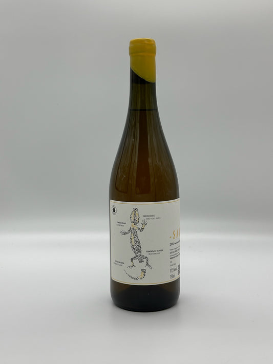 Arribas Wine 2022 Saroto Branco