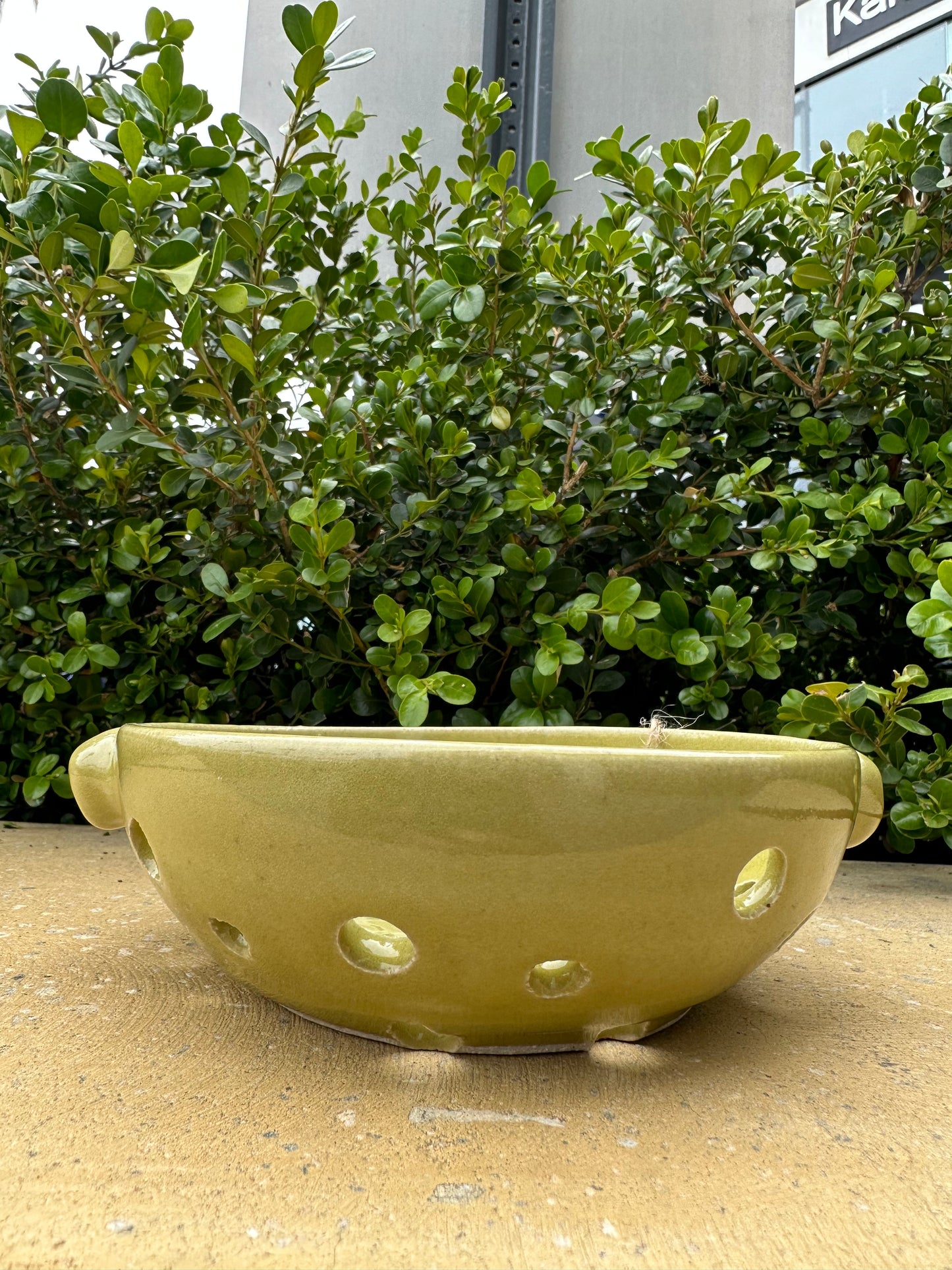Jelly Ceramic Berry Bowl