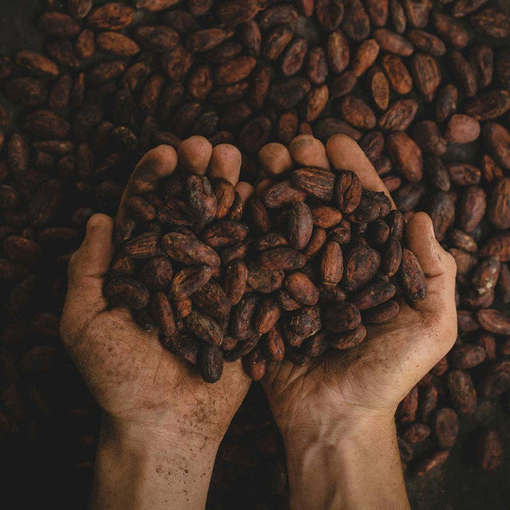 Pistachio & Raw Cacao