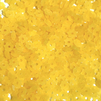 Gluten-Free Stelline Pasta