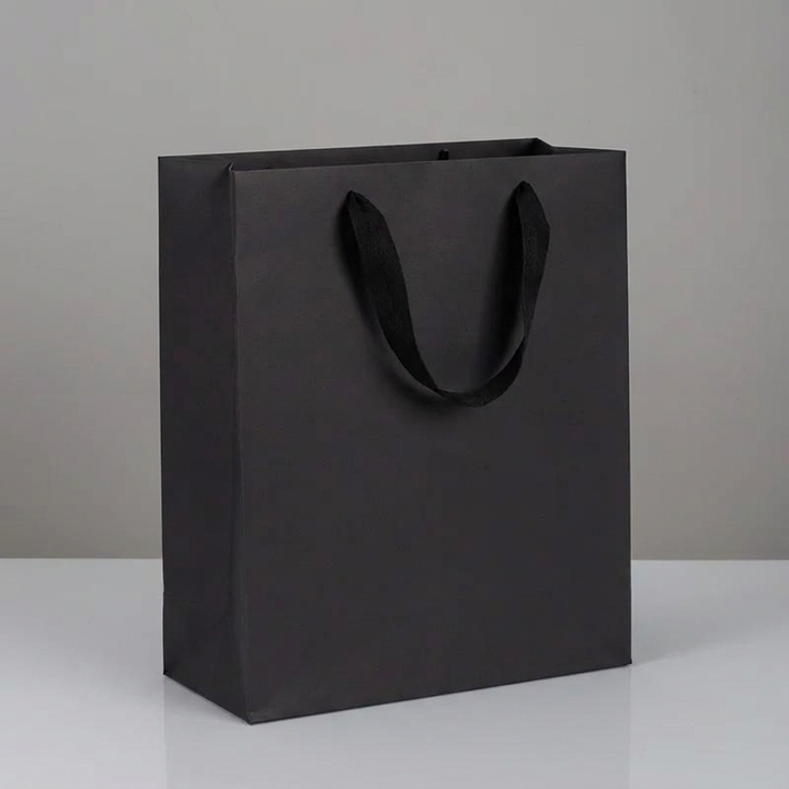 10pc, All Black Cotton Handle Paper Gift Bag w/ free tissue