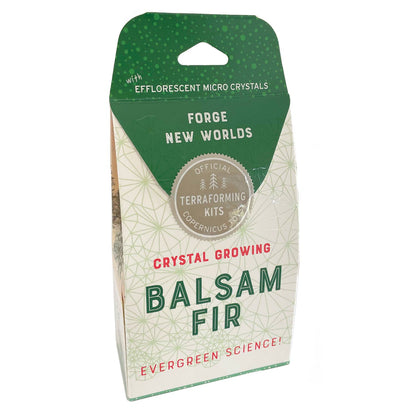 Crystal Growing Balsam Fir |
Craft kit Science kit Christmas